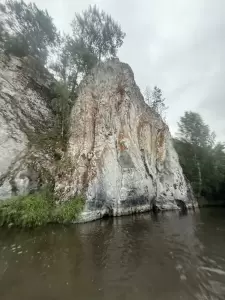 Фотография Медведь travel 3