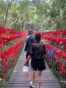 Фотография Pegas Touristik 4