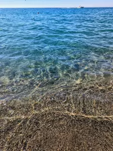 Фотография MIGRAS 0