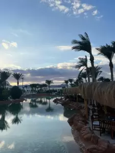 Фотография Coral Travel 3