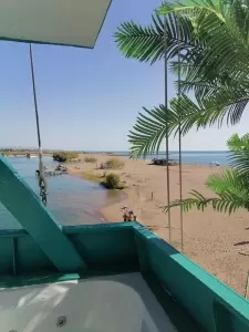 Фотография MoreLeta 3